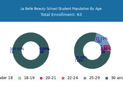 La Belle Beauty School 2024 Student Population Age Diversity Pie chart