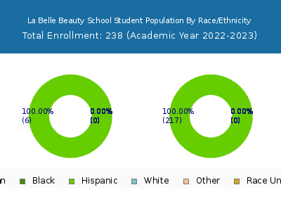 La Belle Beauty School 2023 Student Population by Gender and Race chart