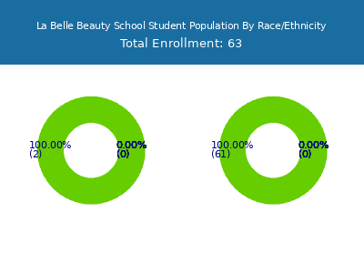La Belle Beauty School 2025 Student Population by Gender and Race chart