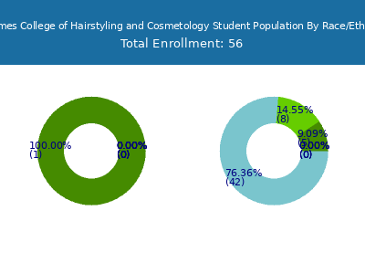 La James College of Hairstyling and Cosmetology 2025 Student Population by Gender and Race chart