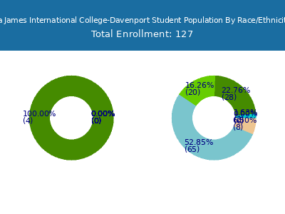 La James International College-Davenport 2025 Student Population by Gender and Race chart