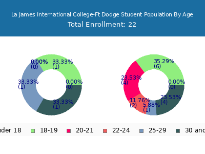 La James International College-Ft Dodge 2024 Student Population Age Diversity Pie chart