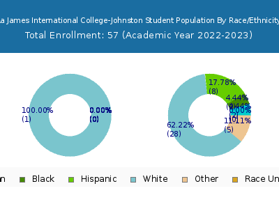 La James International College-Johnston 2023 Student Population by Gender and Race chart