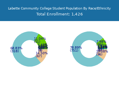 Labette Community College 2025 Student Population by Gender and Race chart
