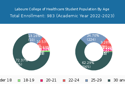 Laboure College of Healthcare 2023 Student Population Age Diversity Pie chart