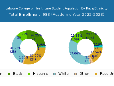 Laboure College of Healthcare 2023 Student Population by Gender and Race chart