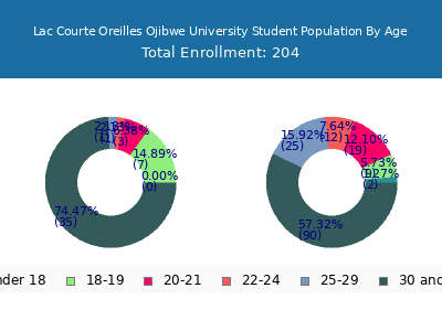 Lac Courte Oreilles Ojibwe University 2025 Student Population Age Diversity Pie chart