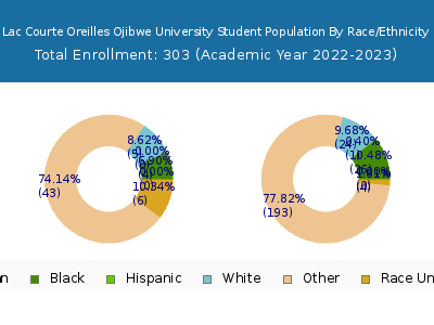 Lac Courte Oreilles Ojibwe University 2023 Student Population by Gender and Race chart