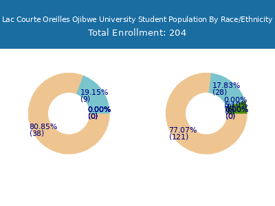 Lac Courte Oreilles Ojibwe University 2025 Student Population by Gender and Race chart