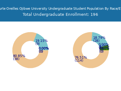 Lac Courte Oreilles Ojibwe University 2025 Undergraduate Enrollment by Gender and Race chart