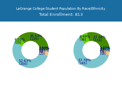 LaGrange College 2025 Student Population by Gender and Race chart