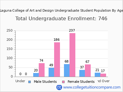 Laguna College of Art and Design 2024 Undergraduate Enrollment by Age chart