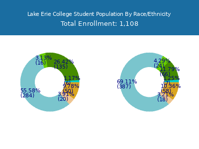 Lake Erie College 2025 Student Population by Gender and Race chart
