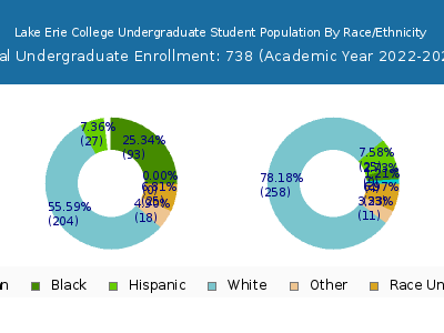 Lake Erie College 2023 Undergraduate Enrollment by Gender and Race chart