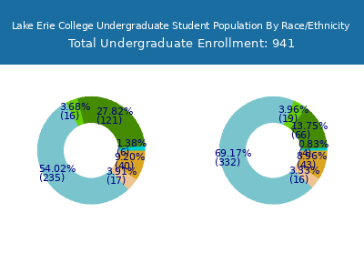 Lake Erie College 2025 Undergraduate Enrollment by Gender and Race chart