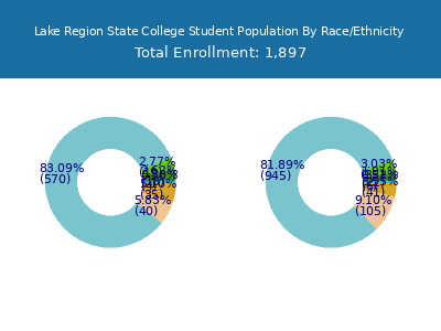 Lake Region State College 2025 Student Population by Gender and Race chart