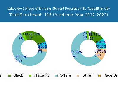 Lakeview College of Nursing 2023 Student Population by Gender and Race chart