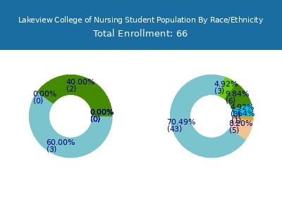 Lakeview College of Nursing 2025 Student Population by Gender and Race chart