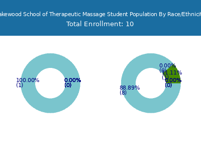 Lakewood School of Therapeutic Massage 2025 Student Population by Gender and Race chart