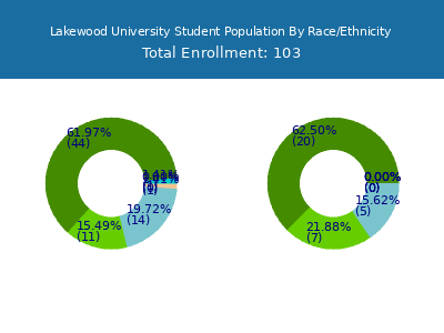 Lakewood University 2025 Student Population by Gender and Race chart