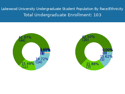 Lakewood University 2025 Undergraduate Enrollment by Gender and Race chart