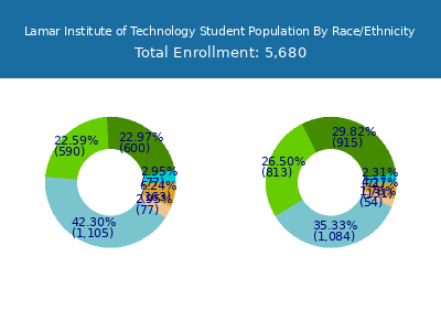 Lamar Institute of Technology 2025 Student Population by Gender and Race chart