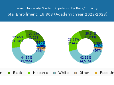 Lamar University 2023 Student Population by Gender and Race chart