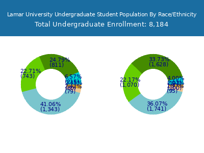 Lamar University 2025 Undergraduate Enrollment by Gender and Race chart