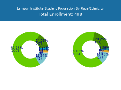 Lamson Institute 2025 Student Population by Gender and Race chart