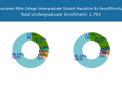 Lancaster Bible College 2025 Undergraduate Enrollment by Gender and Race chart