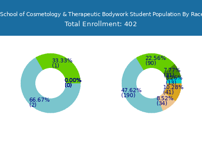 Lancaster School of Cosmetology & Therapeutic Bodywork 2025 Student Population by Gender and Race chart