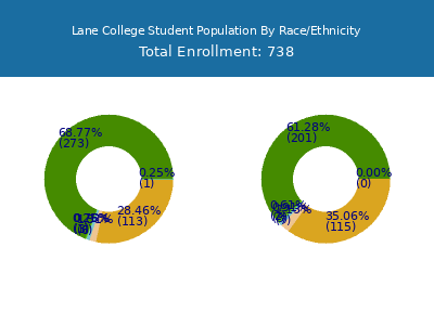 Lane College 2025 Student Population by Gender and Race chart