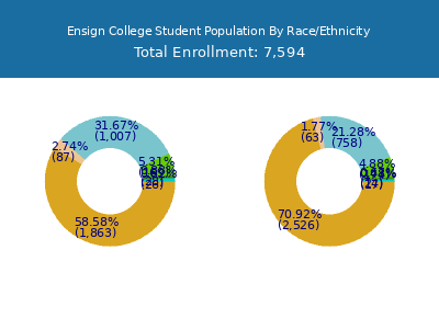 Ensign College 2025 Student Population by Gender and Race chart