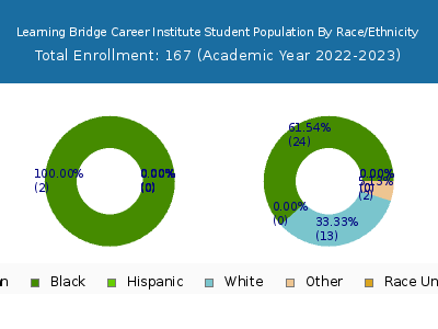 Learning Bridge Career Institute 2023 Student Population by Gender and Race chart