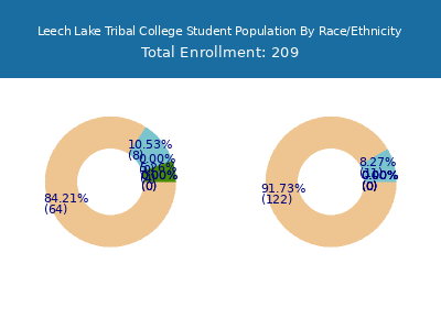 Leech Lake Tribal College 2025 Student Population by Gender and Race chart