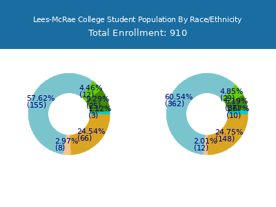 Lees-McRae College 2025 Student Population by Gender and Race chart