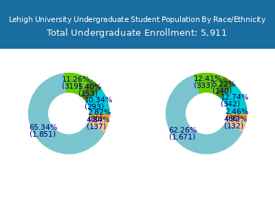 Lehigh University 2025 Undergraduate Enrollment by Gender and Race chart