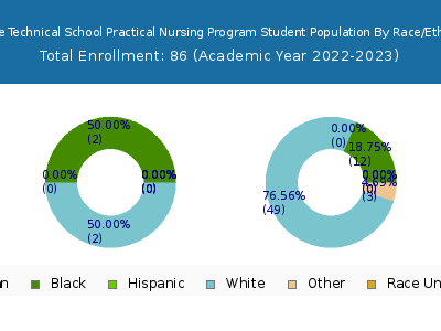 Lenape Technical School Practical Nursing Program 2023 Student Population by Gender and Race chart