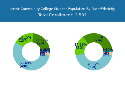Lenoir Community College 2025 Student Population by Gender and Race chart