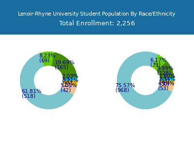 Lenoir-Rhyne University 2025 Student Population by Gender and Race chart