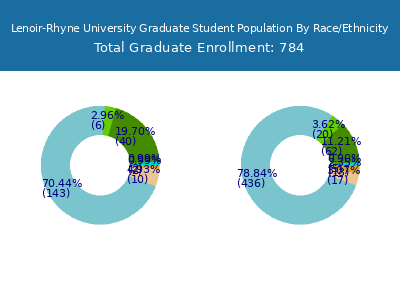 Lenoir-Rhyne University 2025 Graduate Enrollment by Gender and Race chart