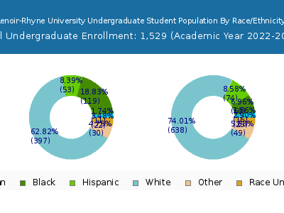 Lenoir-Rhyne University 2023 Undergraduate Enrollment by Gender and Race chart
