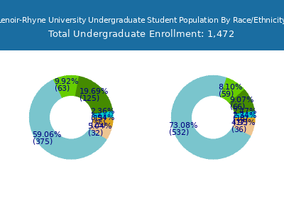 Lenoir-Rhyne University 2025 Undergraduate Enrollment by Gender and Race chart