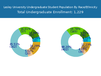 Lesley University 2025 Undergraduate Enrollment by Gender and Race chart