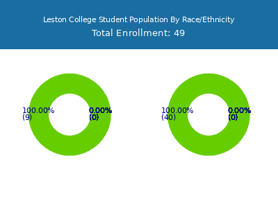 Leston College 2025 Student Population by Gender and Race chart