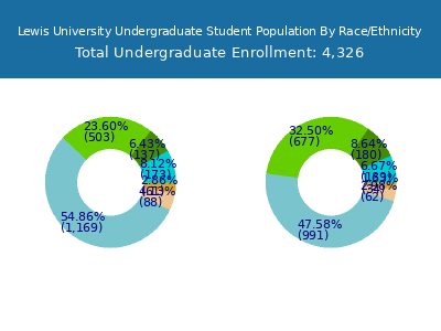 Lewis University 2025 Undergraduate Enrollment by Gender and Race chart