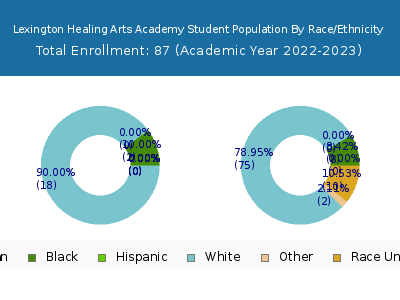 Lexington Healing Arts Academy 2023 Student Population by Gender and Race chart