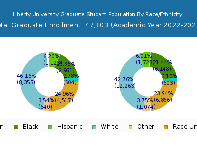 Liberty University 2023 Graduate Enrollment by Gender and Race chart