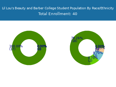 Lil Lou's Beauty and Barber College 2025 Student Population by Gender and Race chart