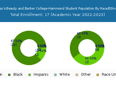 Lil Lou's Beauty and Barber College-Hammond 2023 Student Population by Gender and Race chart